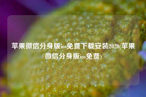 苹果微信分身版ios免费下载安装2020(苹果微信分身版ios免费)