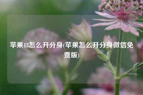 苹果13怎么开分身(苹果怎么开分身微信免费版)