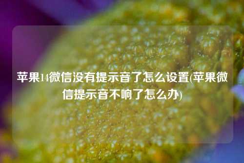 苹果14微信没有提示音了怎么设置(苹果微信提示音不响了怎么办)