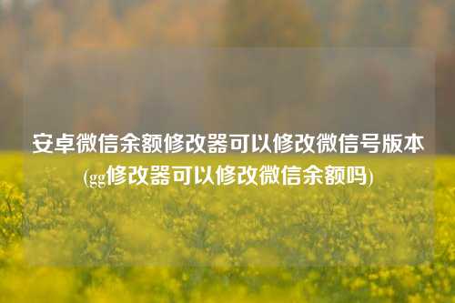 安卓微信余额修改器可以修改微信号版本(gg修改器可以修改微信余额吗)