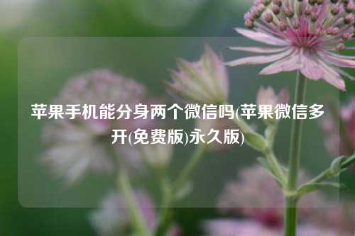 苹果手机能分身两个微信吗(苹果微信多开(免费版)永久版)