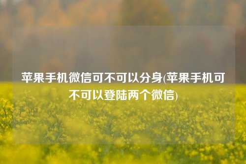 苹果手机微信可不可以分身(苹果手机可不可以登陆两个微信)