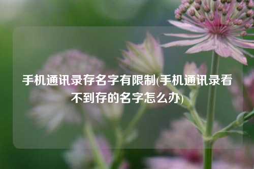 手机通讯录存名字有限制(手机通讯录看不到存的名字怎么办)