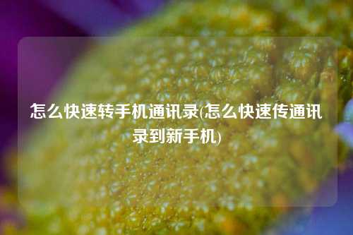 怎么快速转手机通讯录(怎么快速传通讯录到新手机)