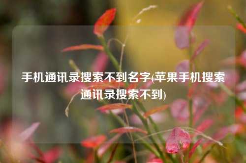 手机通讯录搜索不到名字(苹果手机搜索通讯录搜索不到)