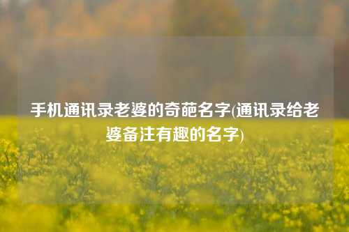 手机通讯录老婆的奇葩名字(通讯录给老婆备注有趣的名字)