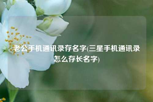 老公手机通讯录存名字(三星手机通讯录怎么存长名字)