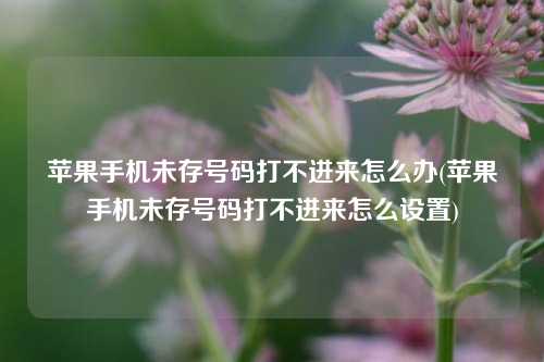 苹果手机未存号码打不进来怎么办(苹果手机未存号码打不进来怎么设置)