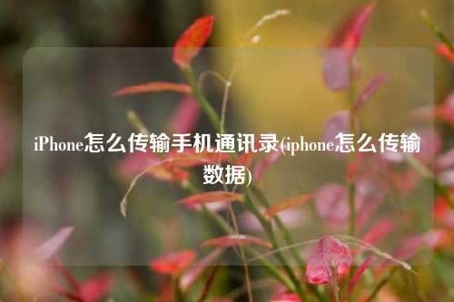 iPhone怎么传输手机通讯录(iphone怎么传输数据)