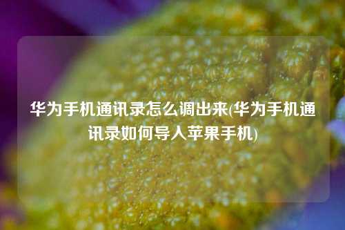 华为手机通讯录怎么调出来(华为手机通讯录如何导入苹果手机)