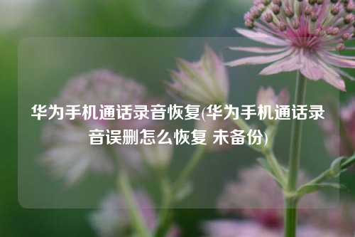 华为手机通话录音恢复(华为手机通话录音误删怎么恢复 未备份)