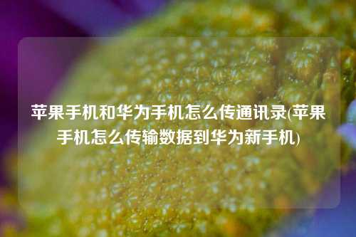 苹果手机和华为手机怎么传通讯录(苹果手机怎么传输数据到华为新手机)