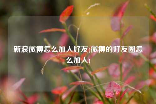 新浪微博怎么加人好友(微博的好友圈怎么加人)