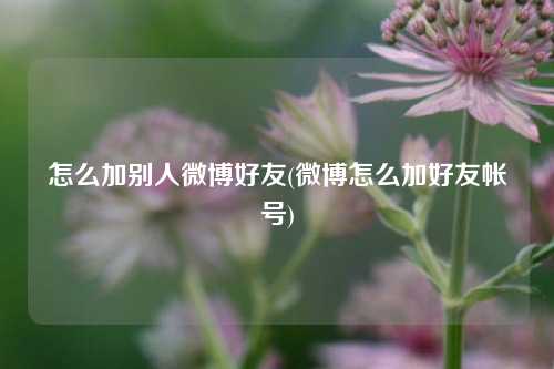 怎么加别人微博好友(微博怎么加好友帐号)