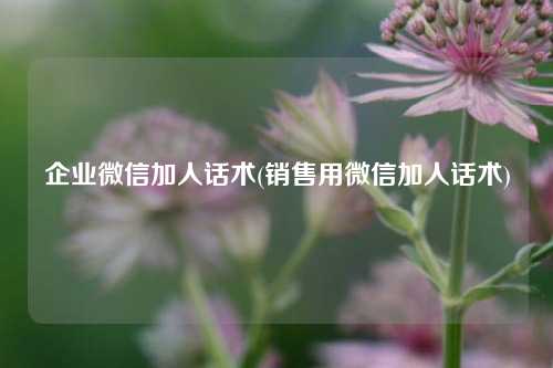 企业微信加人话术(销售用微信加人话术)