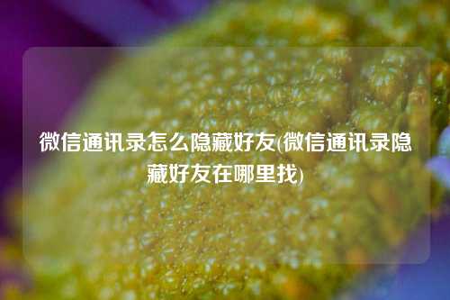 微信通讯录怎么隐藏好友(微信通讯录隐藏好友在哪里找)