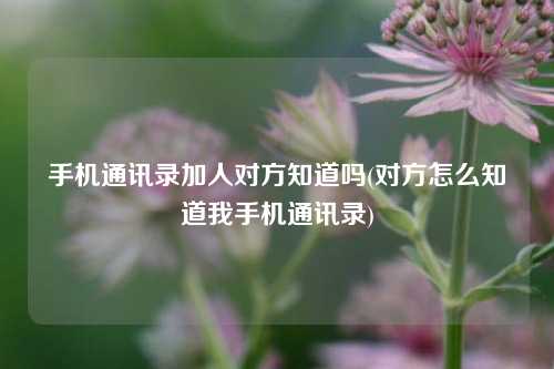 手机通讯录加人对方知道吗(对方怎么知道我手机通讯录)