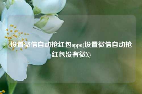 设置微信自动抢红包oppo(设置微信自动抢红包没有微X)