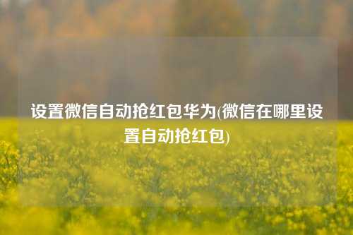 设置微信自动抢红包华为(微信在哪里设置自动抢红包)