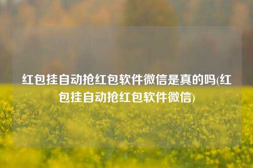 红包挂自动抢红包软件微信是真的吗(红包挂自动抢红包软件微信)