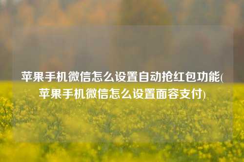 苹果手机微信怎么设置自动抢红包功能(苹果手机微信怎么设置面容支付)