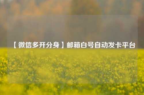 【微信多开分身】邮箱白号自动发卡平台