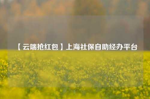 【云端抢红包】上海社保自助经办平台