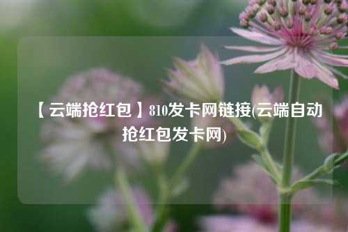 【云端抢红包】810发卡网链接(云端自动抢红包发卡网)