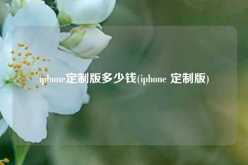 iphone定制版多少钱(iphone 定制版)