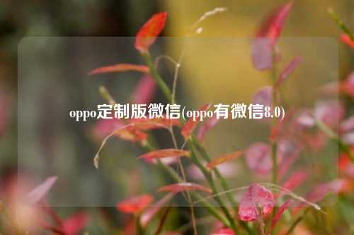 oppo定制版微信(oppo有微信8.0)