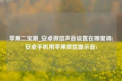 苹果二宝激_安卓微信声音设置在哪里调(安卓手机用苹果微信提示音)