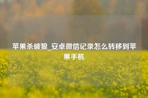 苹果杀破狼_安卓微信记录怎么转移到苹果手机