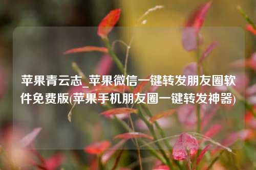 苹果青云志_苹果微信一键转发朋友圈软件免费版(苹果手机朋友圈一键转发神器)