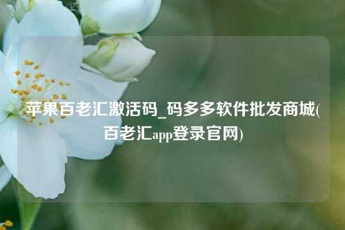 苹果百老汇激活码_码多多软件批发商城(百老汇app登录官网)