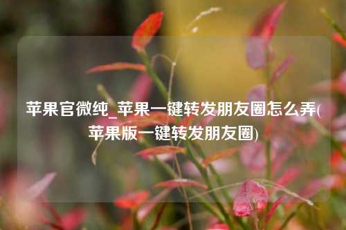 苹果官微纯_苹果一键转发朋友圈怎么弄(苹果版一键转发朋友圈)