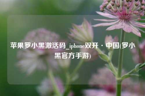 苹果罗小黑激活码_iphone双开·中国(罗小黑官方手游)