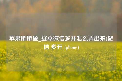 苹果嘟嘟鱼_安卓微信多开怎么弄出来(微信 多开 iphone)