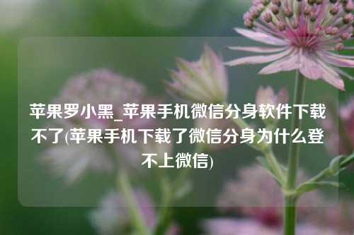 苹果罗小黑_苹果手机微信分身软件下载不了(苹果手机下载了微信分身为什么登不上微信)