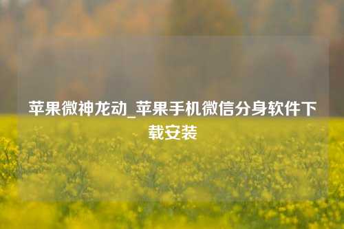 苹果微神龙动_苹果手机微信分身软件下载安装