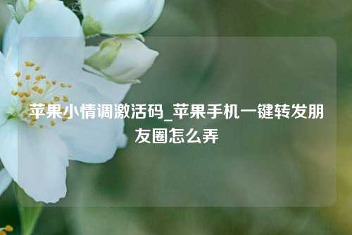 苹果小情调激活码_苹果手机一键转发朋友圈怎么弄