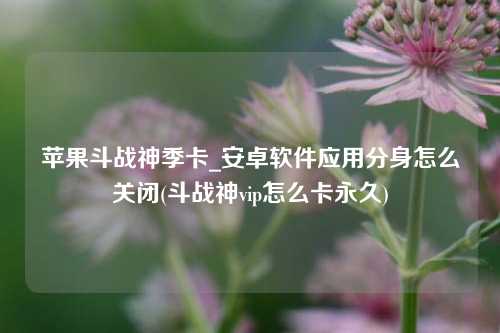 苹果斗战神季卡_安卓软件应用分身怎么关闭(斗战神vip怎么卡永久)