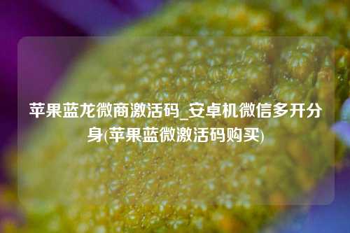 苹果蓝龙微商激活码_安卓机微信多开分身(苹果蓝微激活码购买)