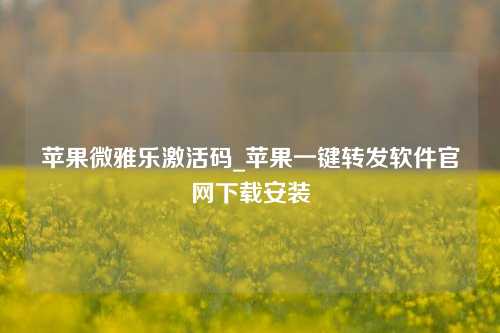 苹果微雅乐激活码_苹果一键转发软件官网下载安装