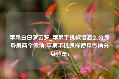 苹果白日梦云梦_苹果手机微信怎么分身登录两个微信(苹果手机怎样使用微信分身登录)