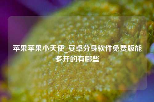 苹果苹果小天使_安卓分身软件免费版能多开的有哪些