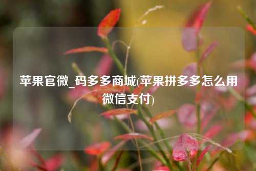 苹果官微_码多多商城(苹果拼多多怎么用微信支付)