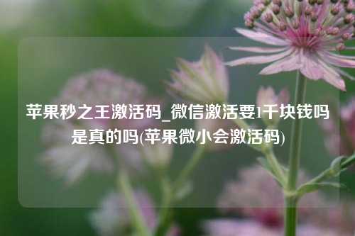 苹果秒之王激活码_微信激活要1千块钱吗是真的吗(苹果微小会激活码)