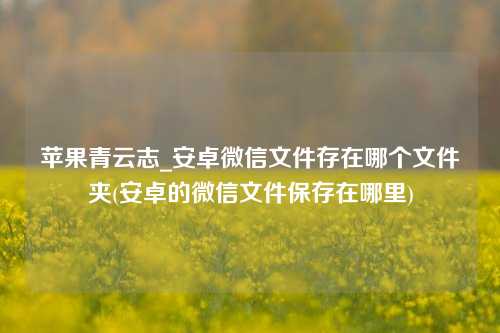 苹果青云志_安卓微信文件存在哪个文件夹(安卓的微信文件保存在哪里)