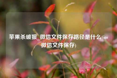 苹果杀破狼_微信文件保存路径是什么(ios微信文件保存)