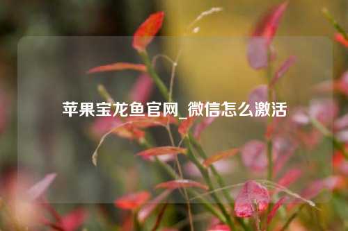 苹果宝龙鱼官网_微信怎么激活